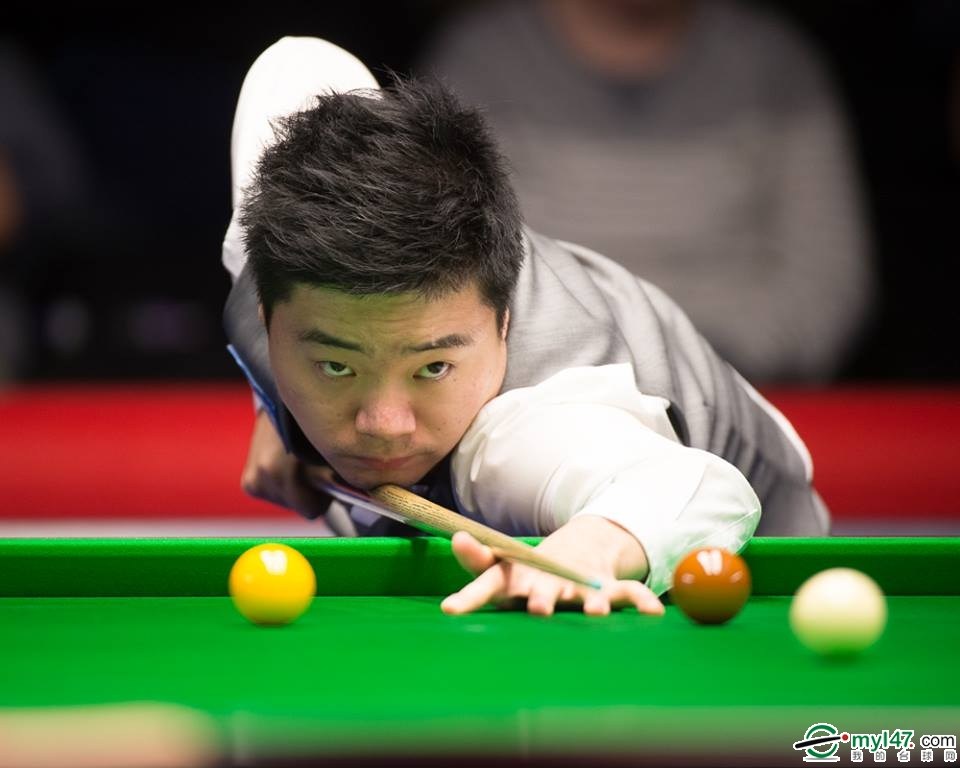 现场球迷的 现场球迷的