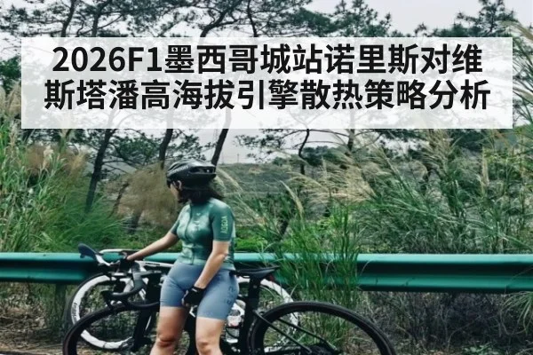 2026F1墨西哥城站诺里斯对维斯塔潘高海拔引擎散热策略分析 | WilliamHill